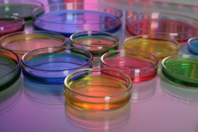 Petri dishes with different colorful samples on table