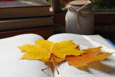 Photo of Book with beautiful leaves as bookmark on table, closeup