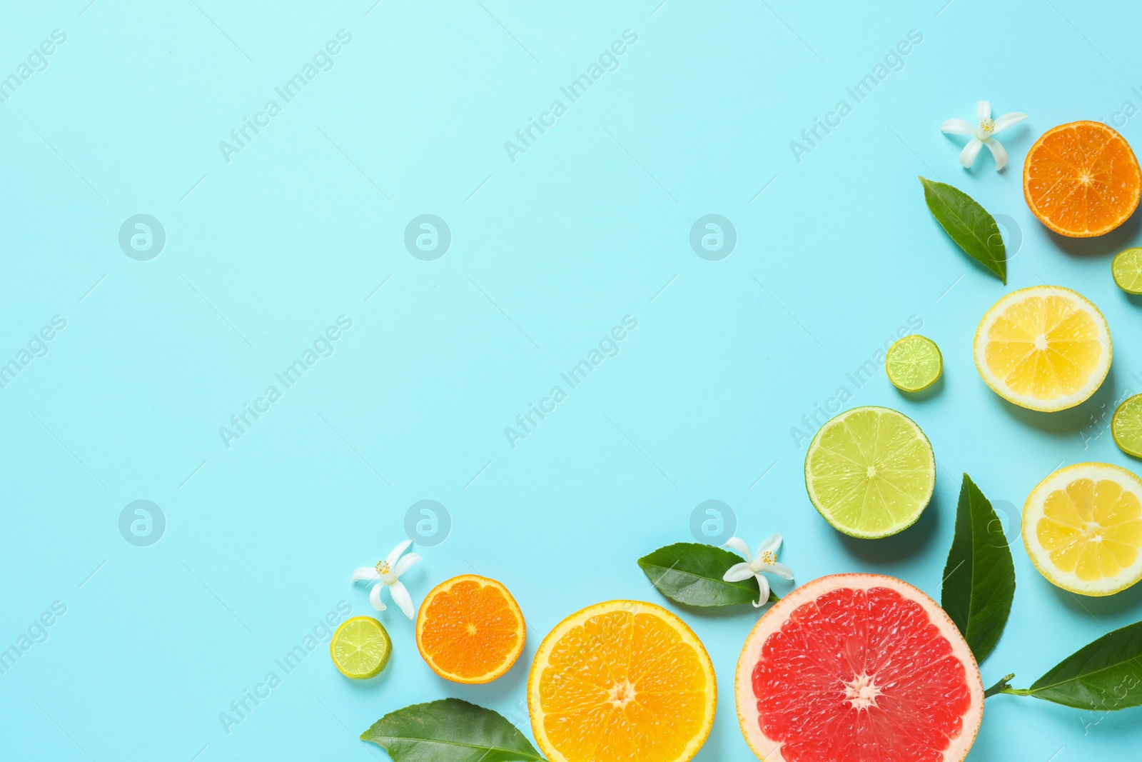 Photo of Frame made of different citrus fruits and leaves on color background, flat lay. Space for text