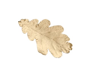 One golden oak leaf isolated on white. Autumn season