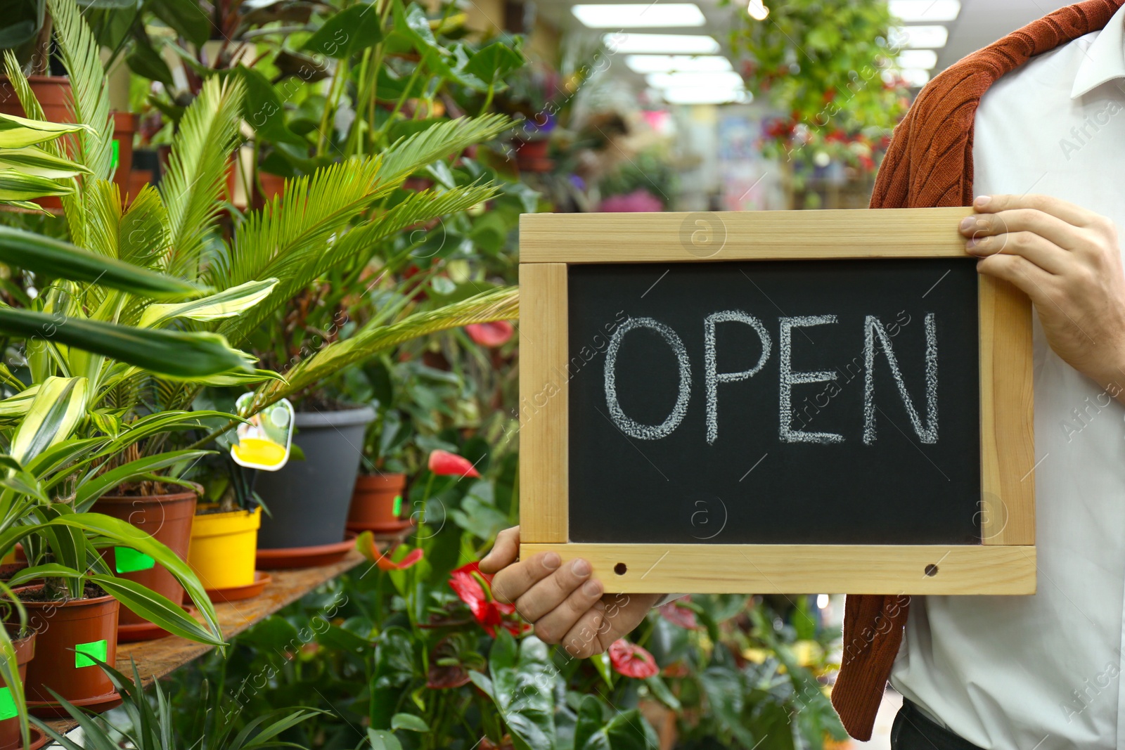 Photo of Male business owner holding OPEN sign in his flower shop, closeup