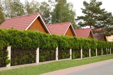 Photo of Beautiful wooden beach houses and green trees outdoors