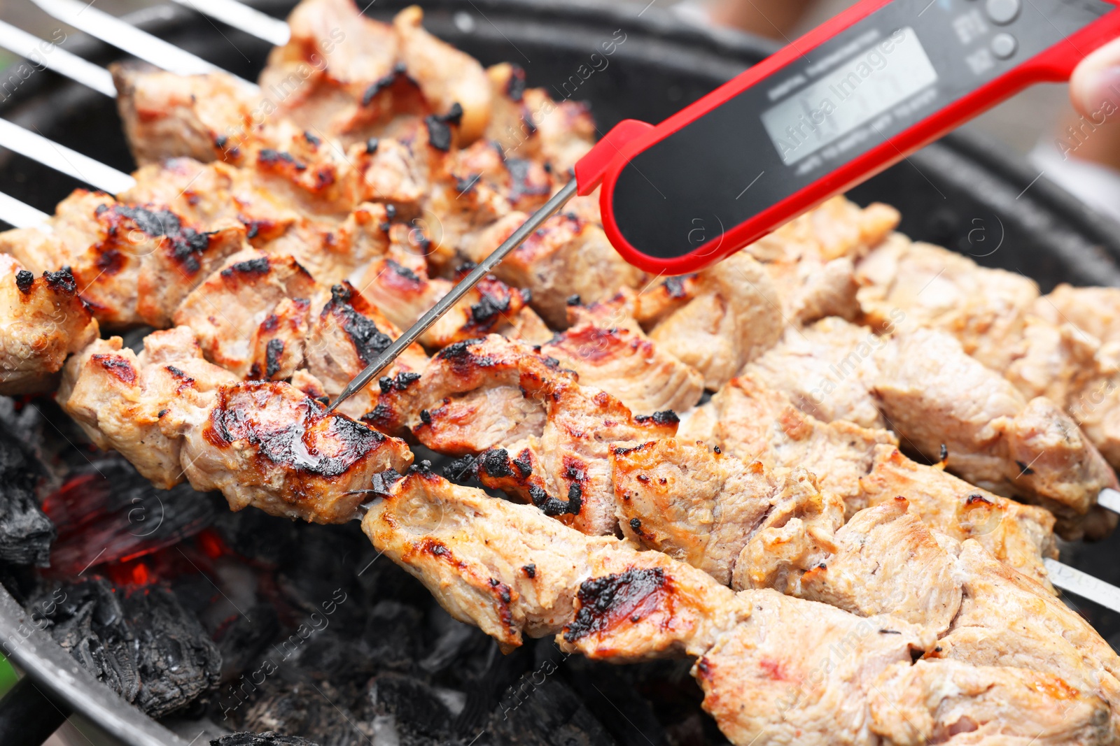 Photo of Man measuring temperature of delicious kebab on metal brazier, closeup