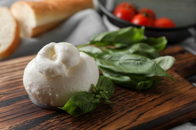 Photo of Delicious burrata cheese with basil on wooden board, closeup. Space for text
