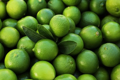Photo of Fresh ripe green limes with leaves as background, closeup