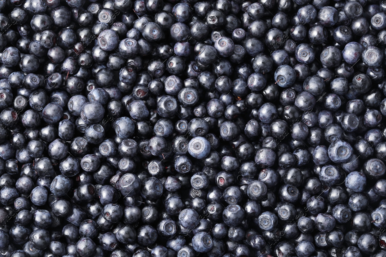 Photo of Many delicious ripe bilberries as background, top view