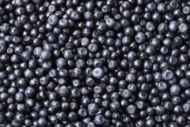 Photo of Many delicious ripe bilberries as background, top view