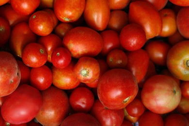 Photo of Red ripe tomatoes as background, top view