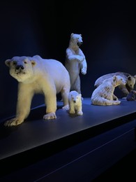 Leiden, Netherlands - June 18, 2022: Exhibition with stuffed polar bears in Naturalis Biodiversity Center