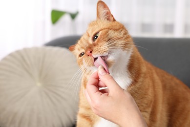 Photo of Woman giving vitamin pill to cute ginger cat on couch indoors, closeup