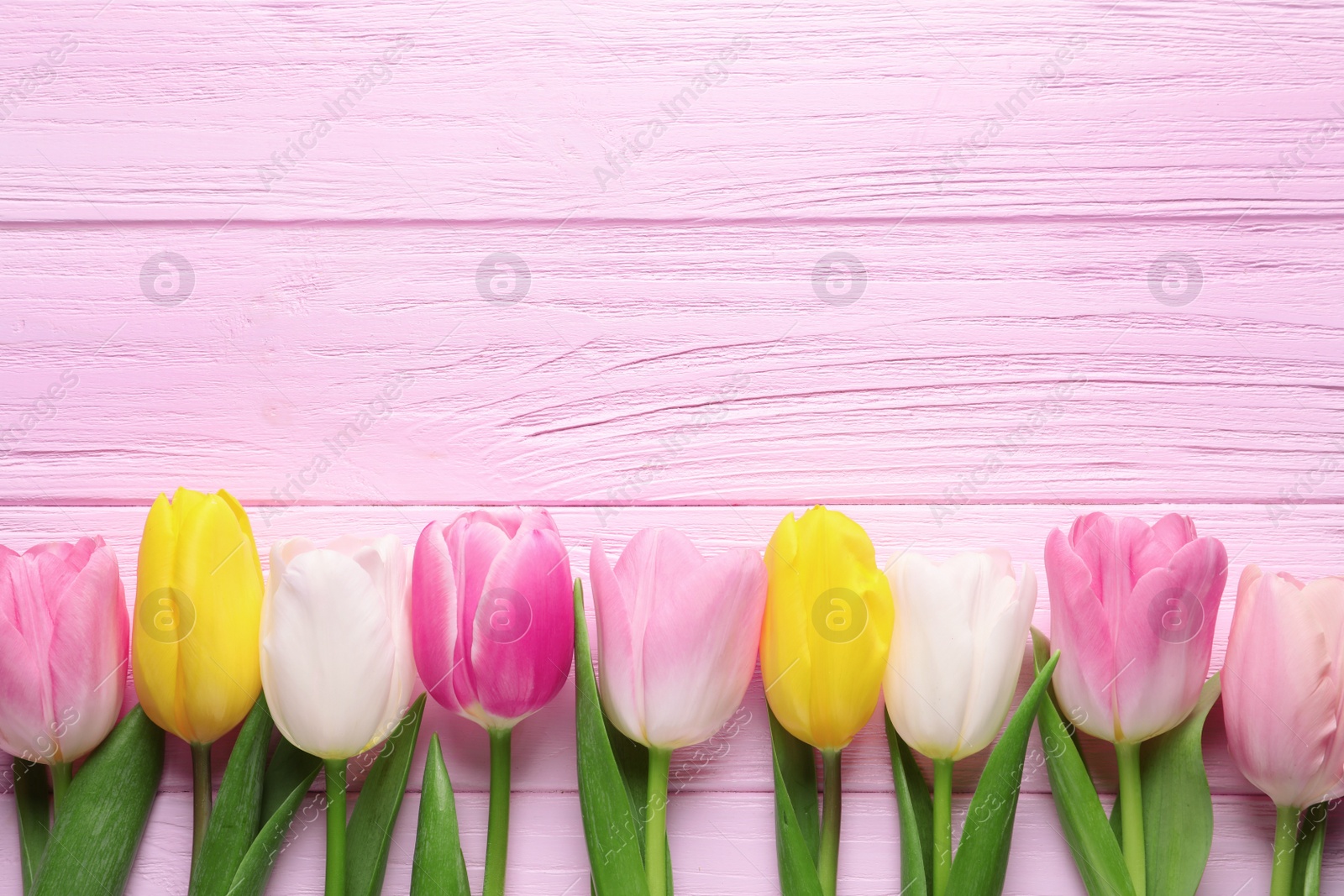 Photo of Flat lay composition of beautiful spring tulips on wooden background, space for text. International Women's Day