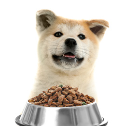 Cute Akita Inu puppy and feeding bowl with dog food on white background