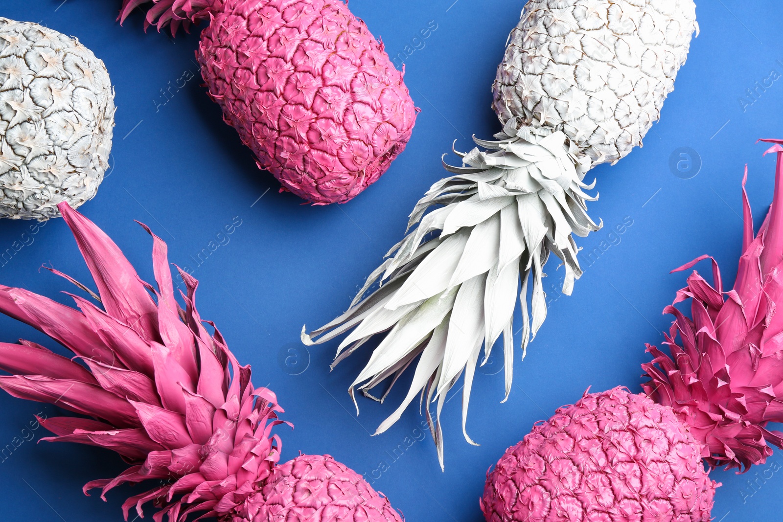 Photo of Pink and white pineapples on blue background, flat lay. Creative concept