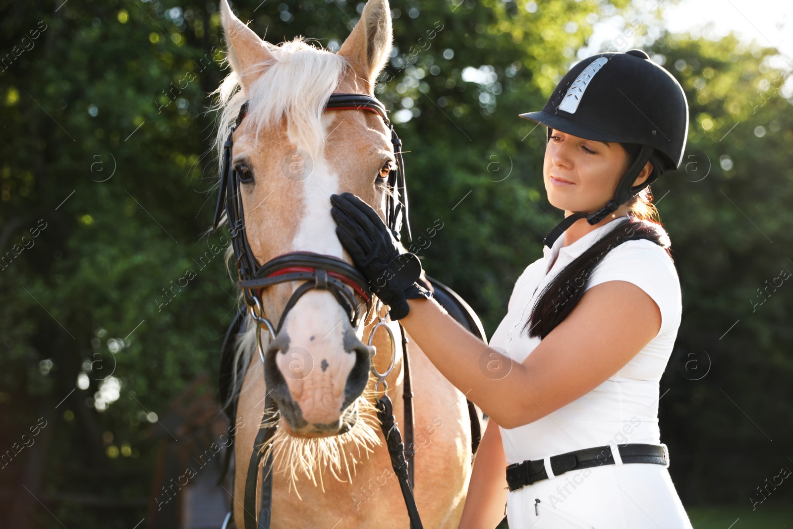 Photo of Young woman in horse riding suit and her beautiful pet outdoors on sunny day