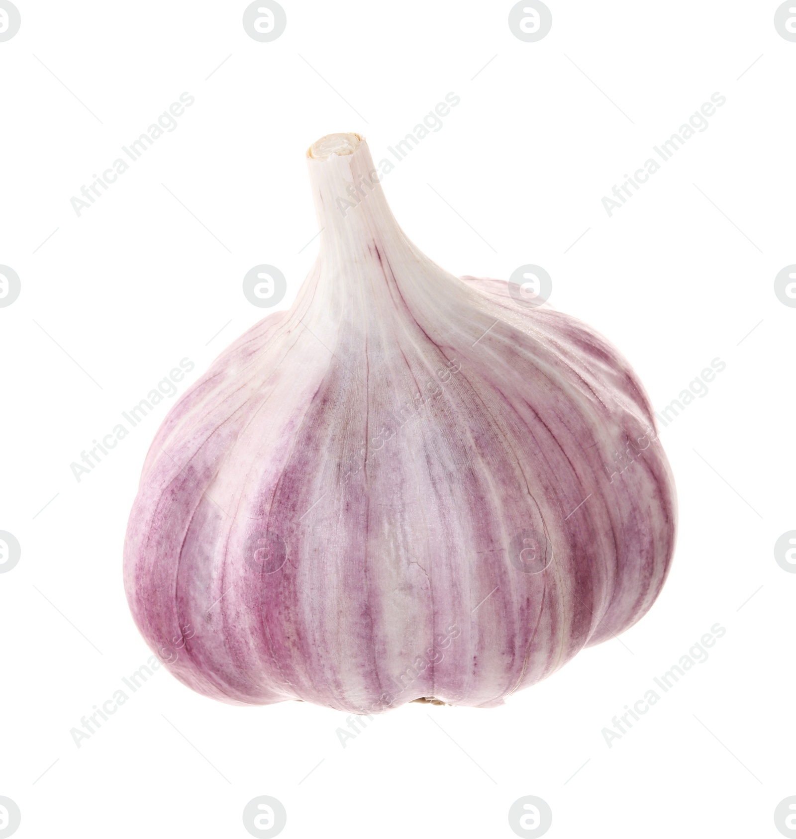 Photo of Unpeeled head of fresh garlic isolated on white