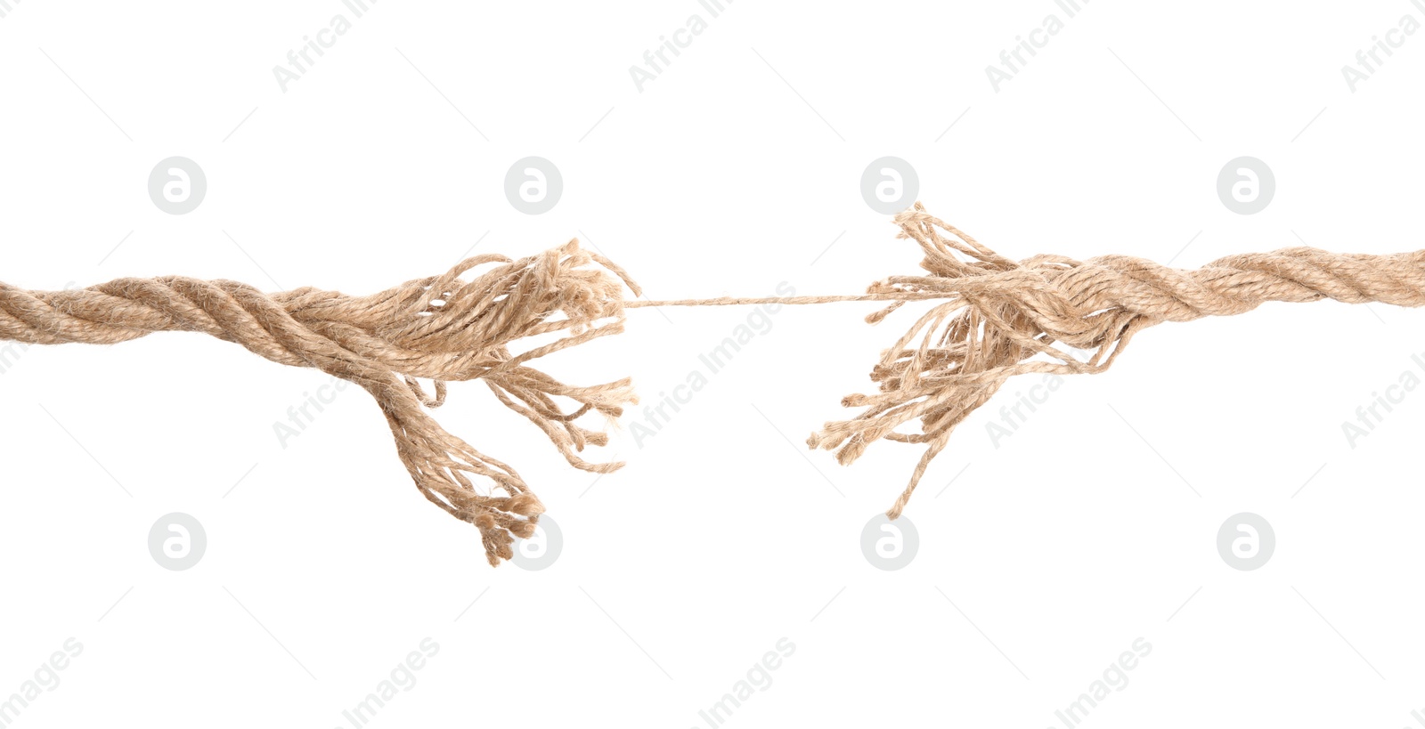 Photo of Frayed rope at breaking point on white background