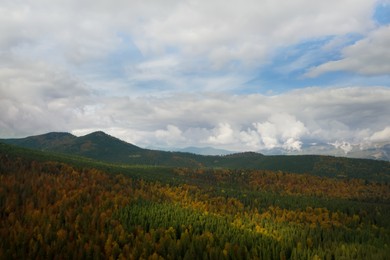 Aerial view of beautiful forest in mountains on autumn day