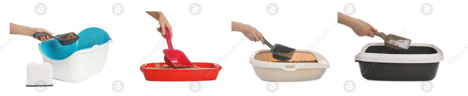 Image of Collage with photos of woman cleaning cat litter trays on white background, closeup