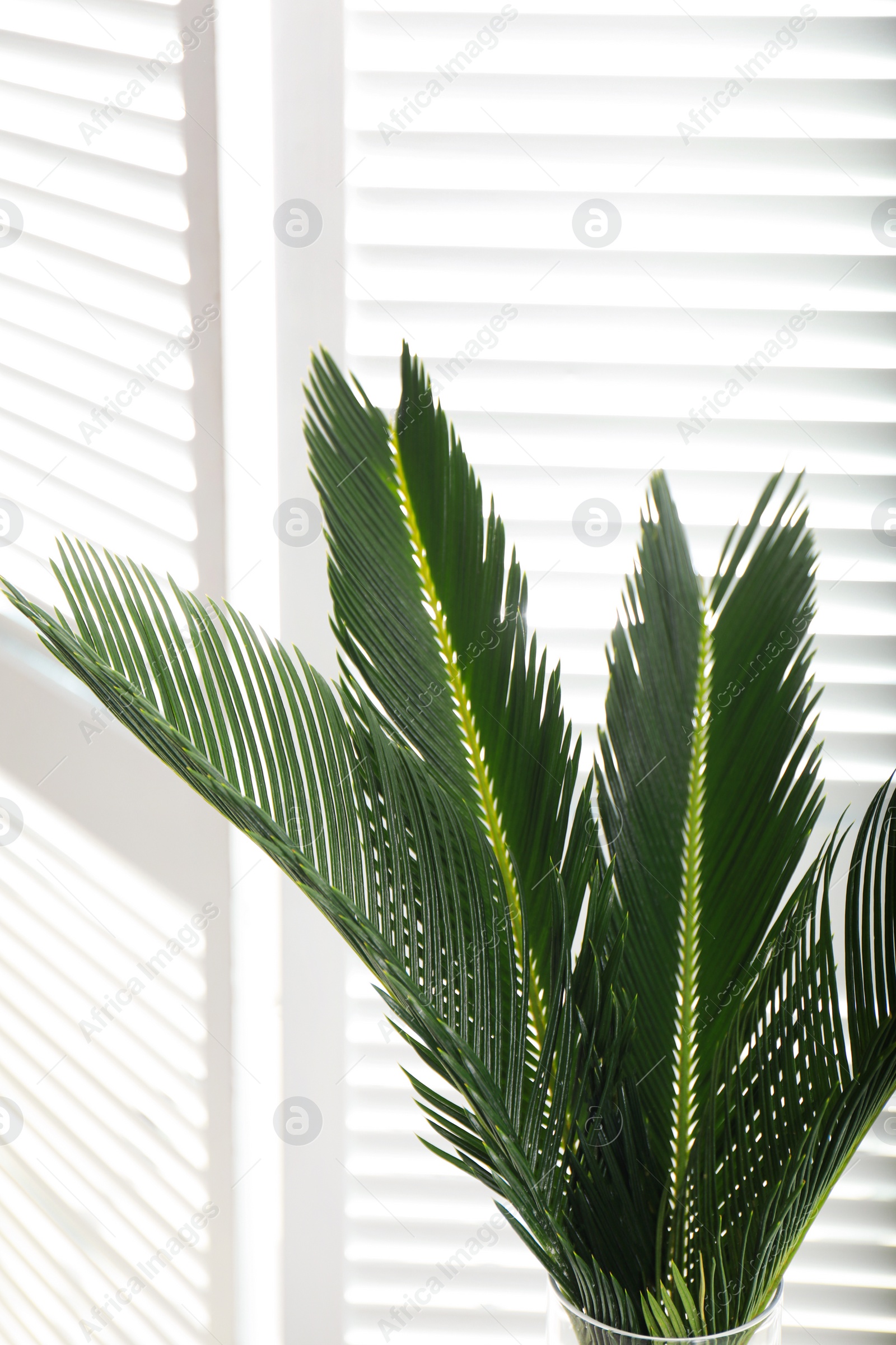 Photo of Vase with green tropical leaves in room. Modern decor for stylish interior