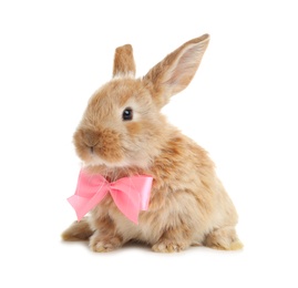 Photo of Adorable furry Easter bunny with cute bow tie on white background