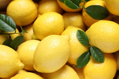 Photo of Fresh lemons and green leaves as background, closeup