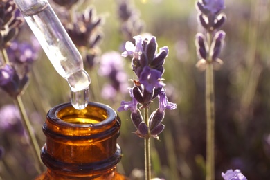 Photo of Dropper with lavender essential oil over bottle in blooming field, closeup. Space for text