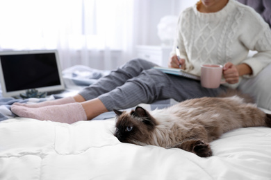 Photo of Woman with her cute Balinese cat on bed at home, closeup. Fluffy pet