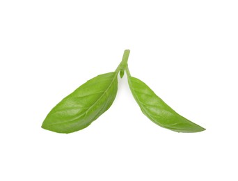 Photo of Green basil leaves isolated on white, top view