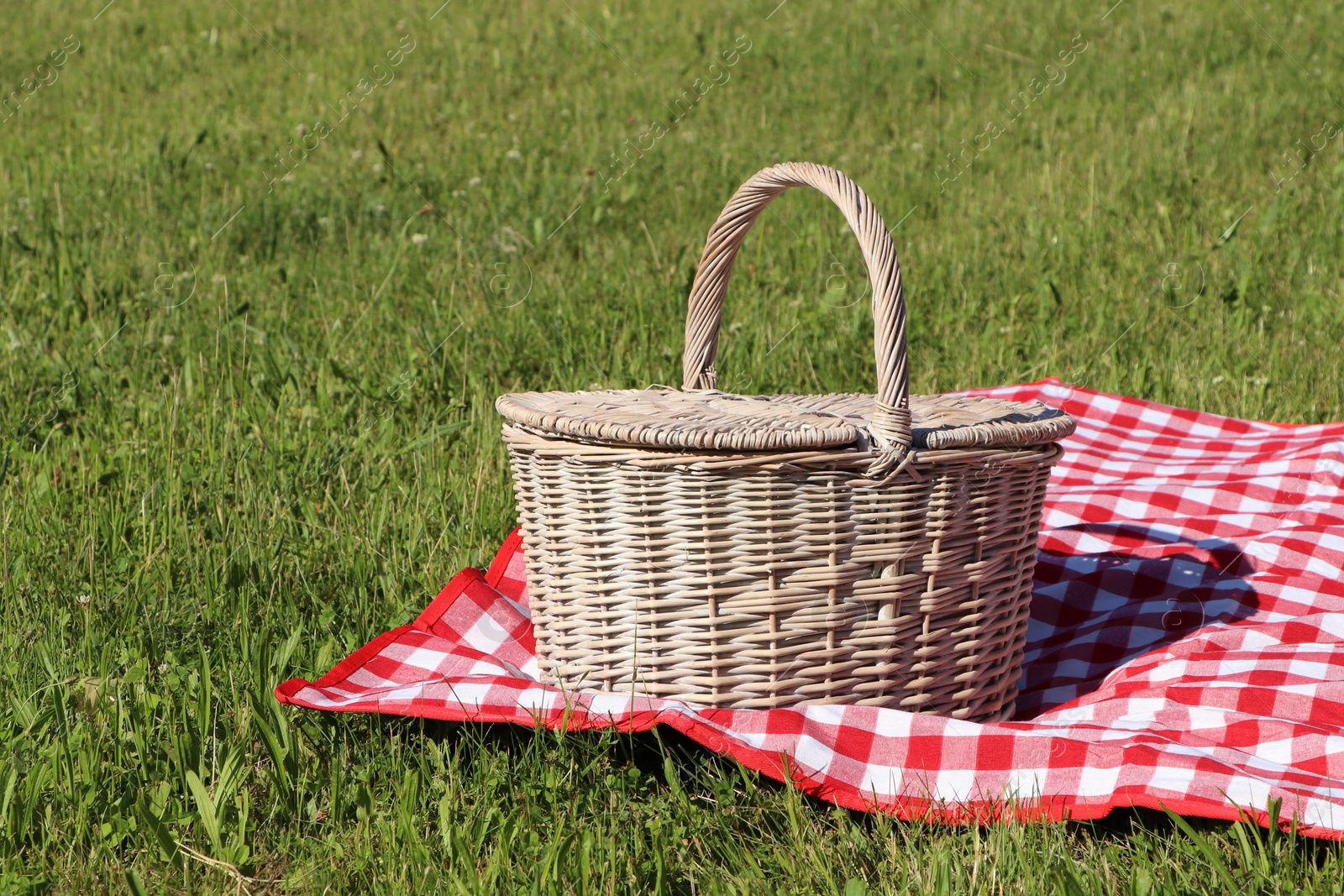 Photo of Picnic basket with checkered tablecloth on green grass outdoors, space for text