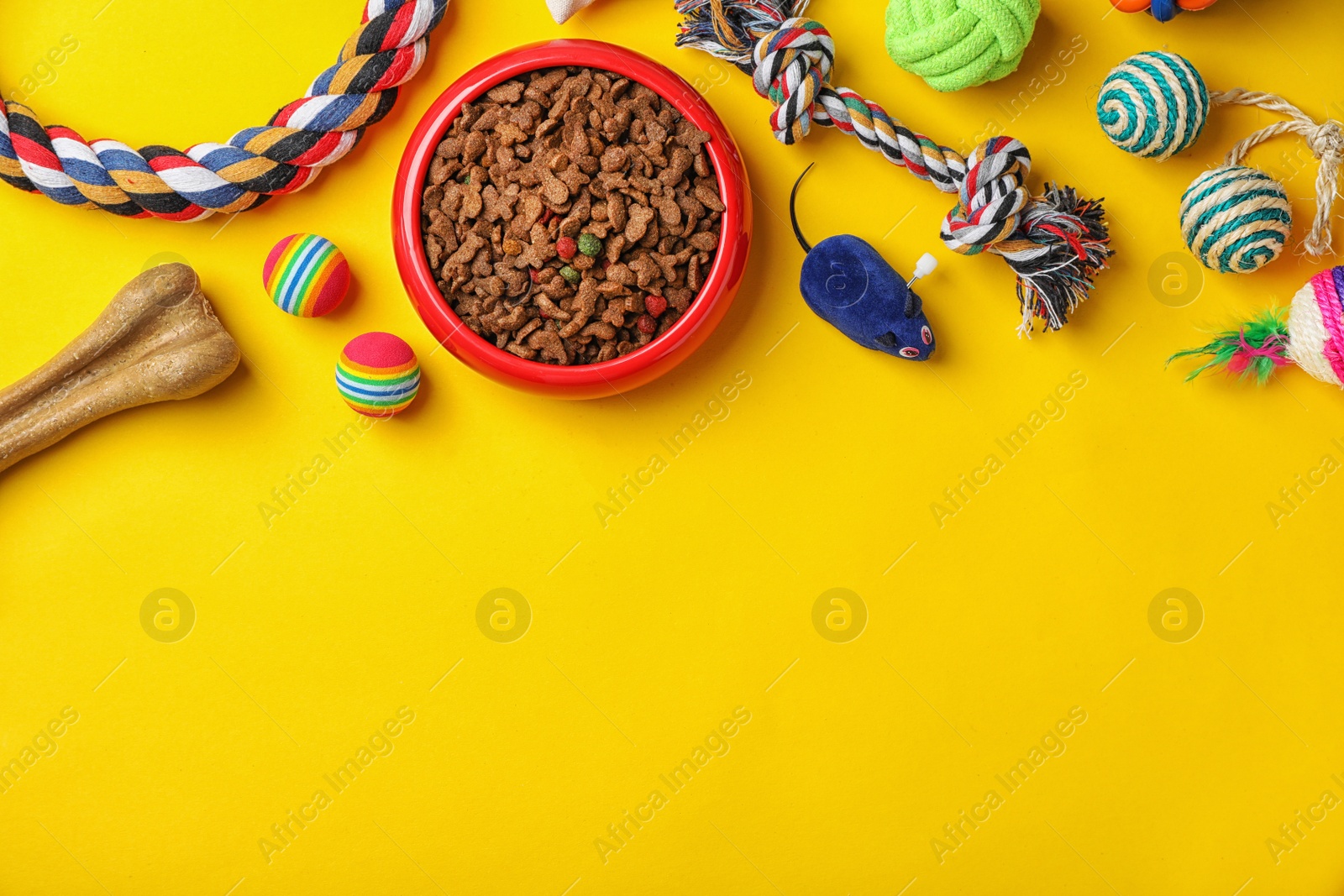 Photo of Bowl with food for cat or dog and accessories on color background. Pet care