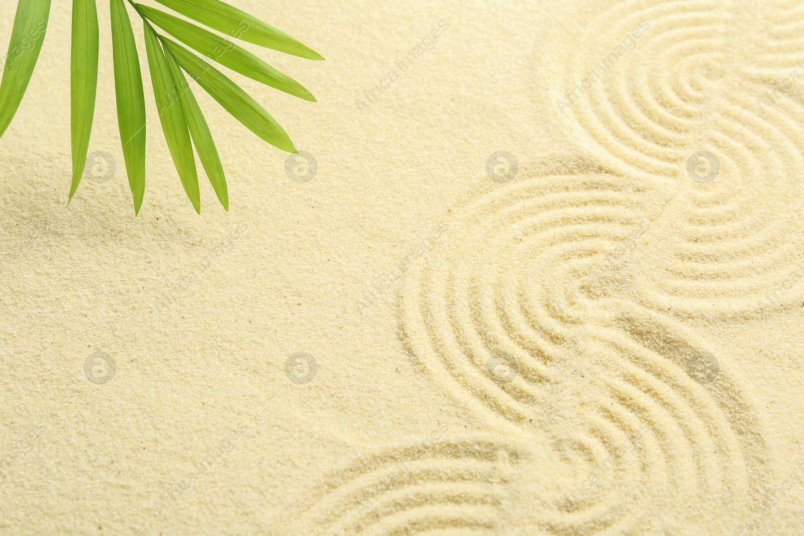 Photo of Zen rock garden. Wave pattern and green leaf on beige sand