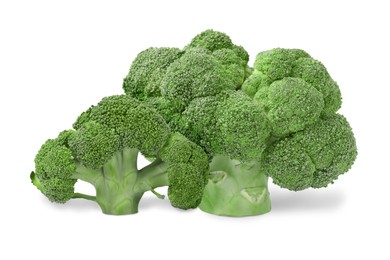 Fresh green broccoli on white background. Edible plant