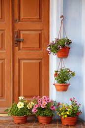 Photo of Beautiful petunia flowers in pots on steps near front door