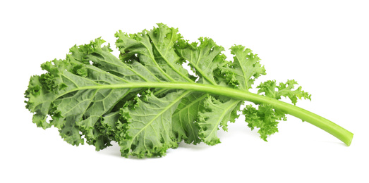 Photo of Fresh green kale leaf isolated on white