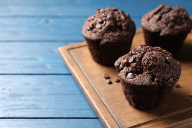 Photo of Delicious chocolate muffins on blue wooden table, closeup. Space for text