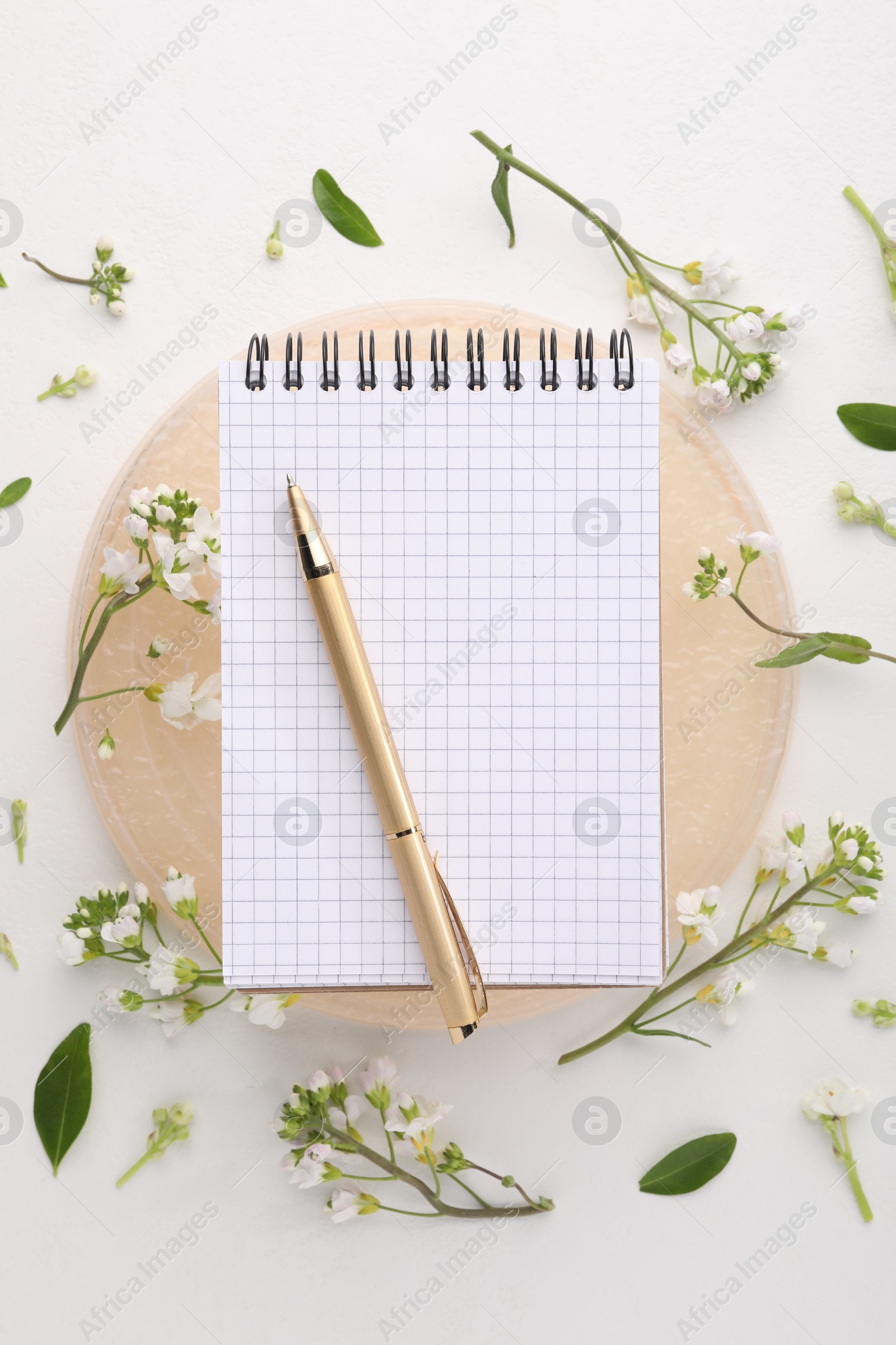 Photo of Guest list. Notebook, pen and beautiful spring tree blossoms on white background, flat lay