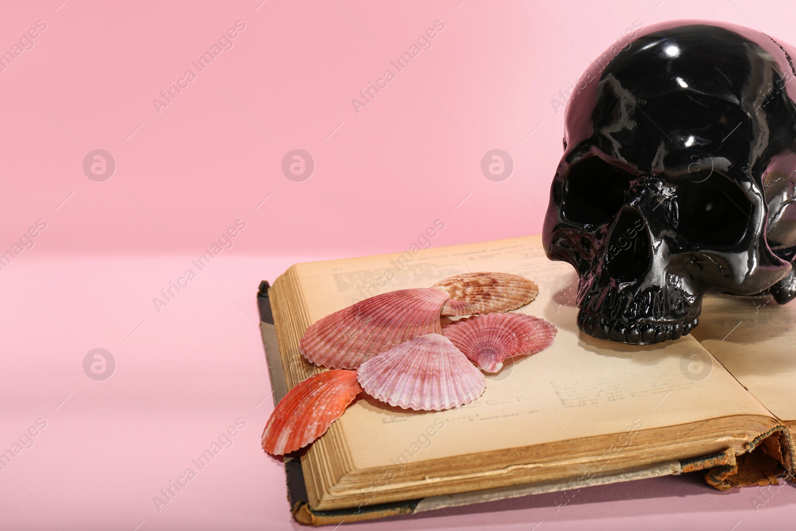 Photo of Black human skull, old book and seashells on pink background, closeup. Space for text