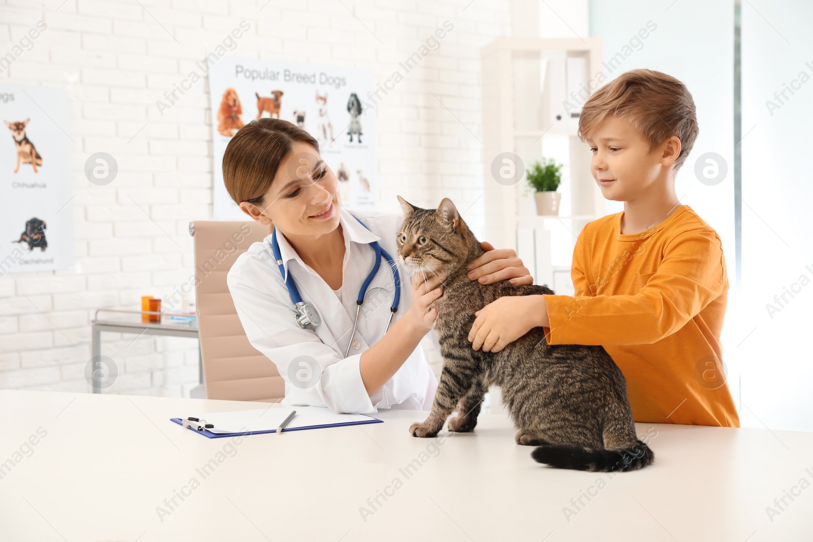 Photo of Boy with his cat visiting veterinarian in clinic