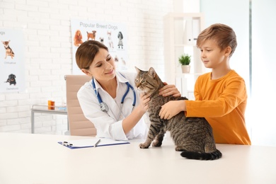 Photo of Boy with his cat visiting veterinarian in clinic