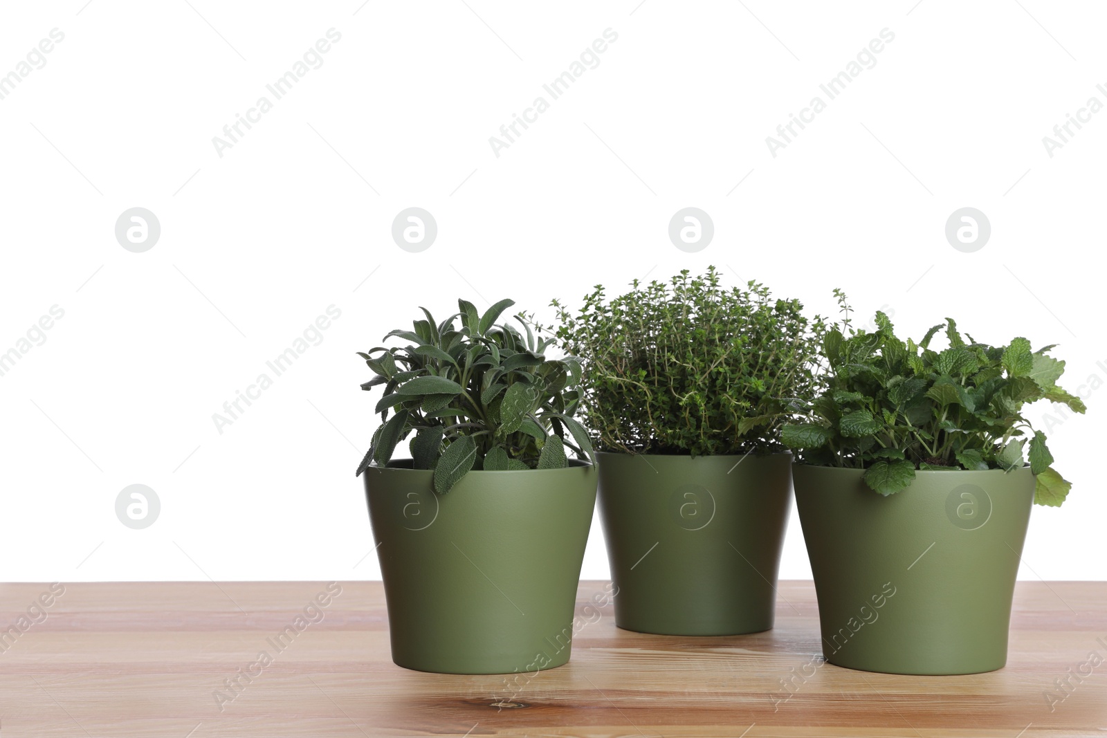 Photo of Pots with thyme, sage and mint on wooden table against white background