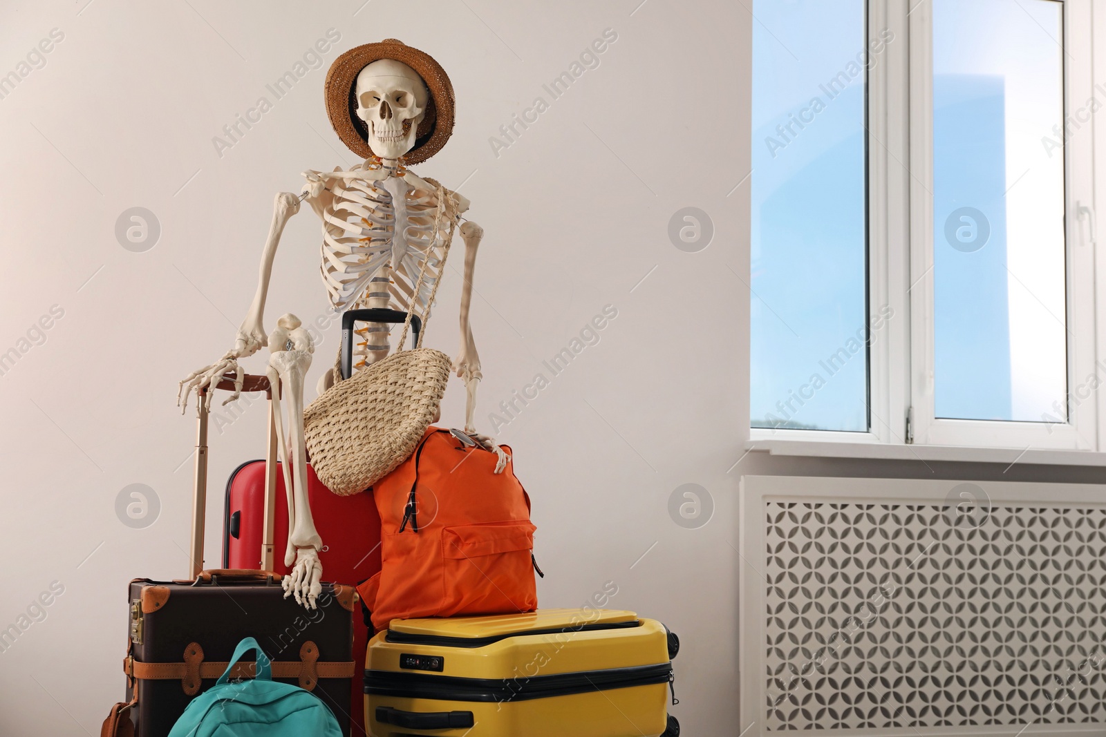 Photo of Waiting concept. Human skeleton in hat with suitcases indoors