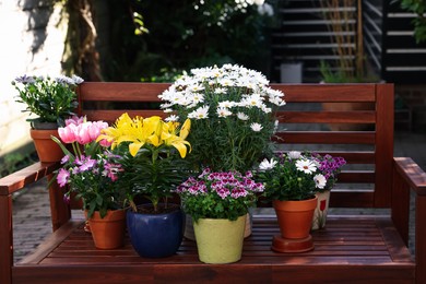 Photo of Many different beautiful blooming plants in flowerpots on wooden bench outdoors