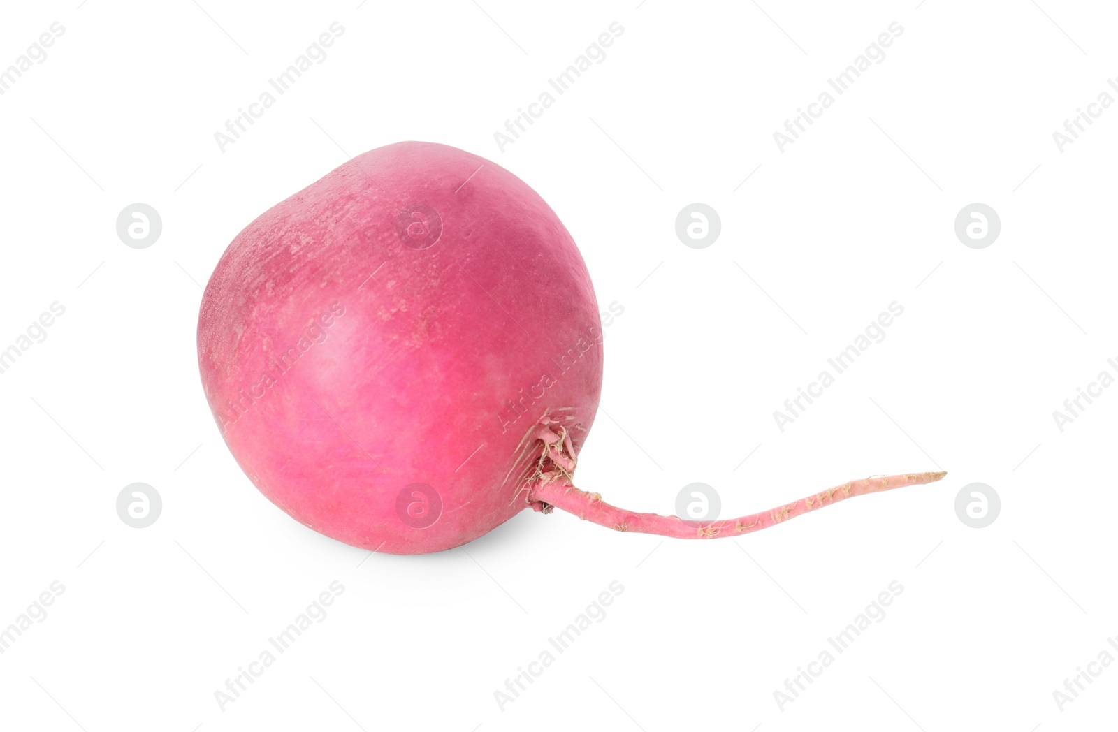 Photo of Whole fresh ripe turnip on white background