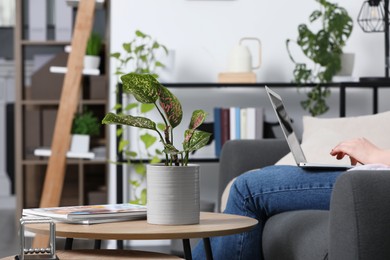 Photo of Woman using laptop in living room, focus on houseplant