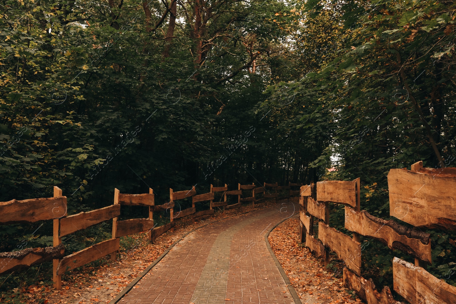 Photo of Many beautiful trees and pathway near wooden fence in autumn park outdoors