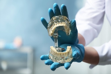 Photo of Dentist holding educational model of oral cavity with teeth in clinic, closeup. Space for text