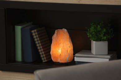 Shelf with books, houseplant and Himalayan salt lamp