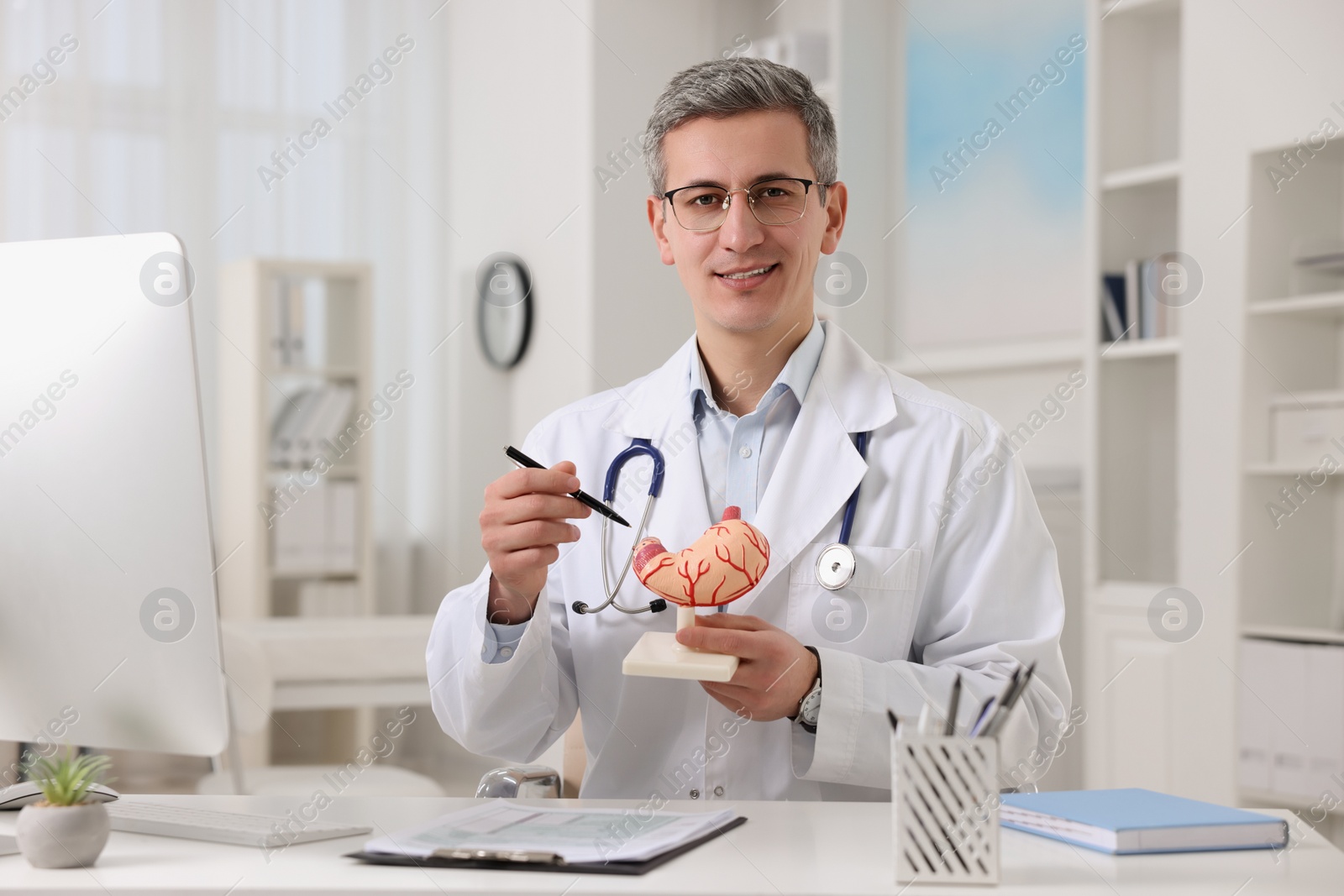 Photo of Gastroenterologist showing human stomach model at table in clinic