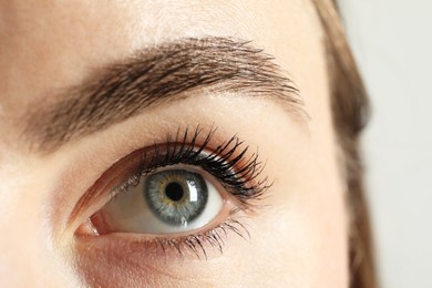 Photo of Macro photo of woman with beautiful eyes on light background