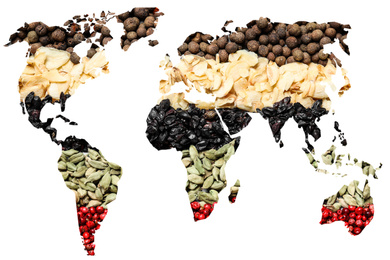 Image of Double exposure of world map and different spices on white background. Logistic and wholesale concept